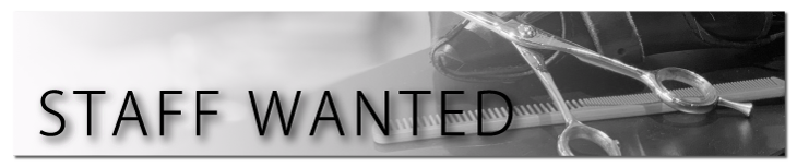 STAFF WANTED スタッフ募集